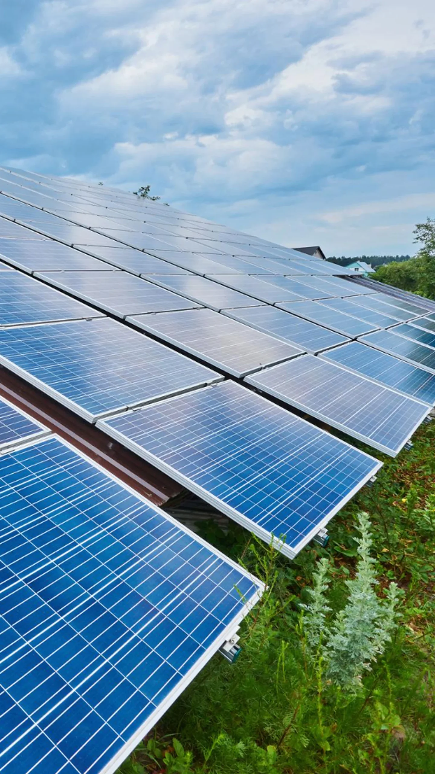 Image hover effect image